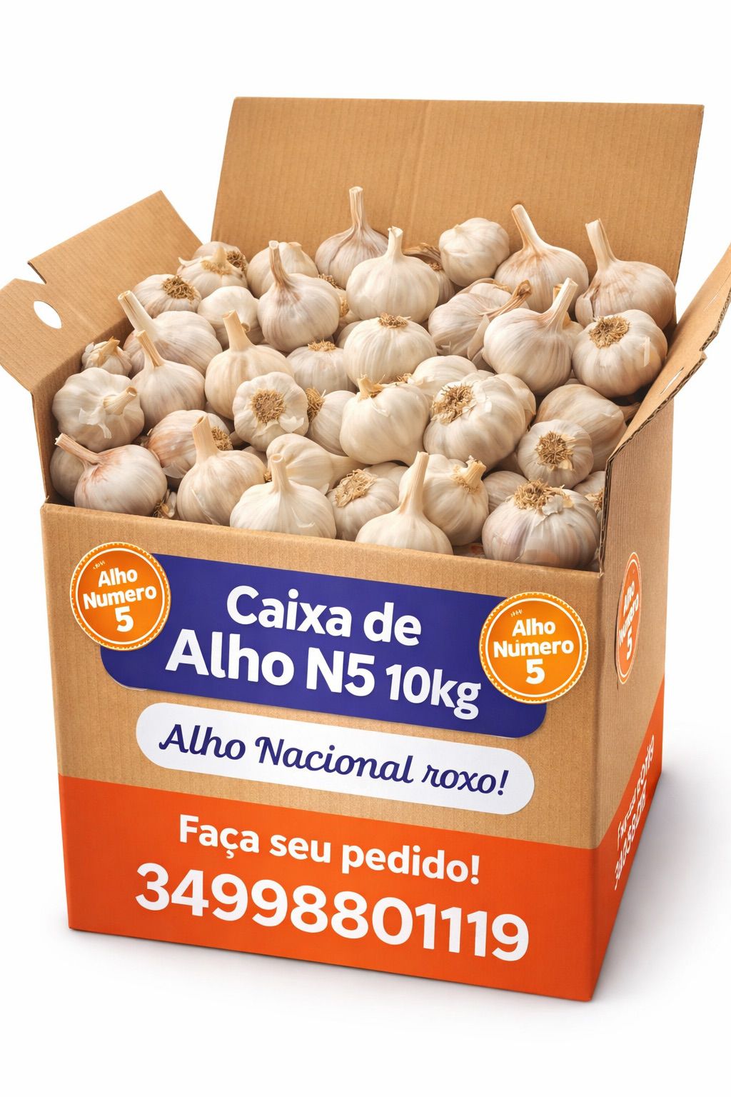 Caixa de Alho Nacional Roxo Nº 5 – 10kg